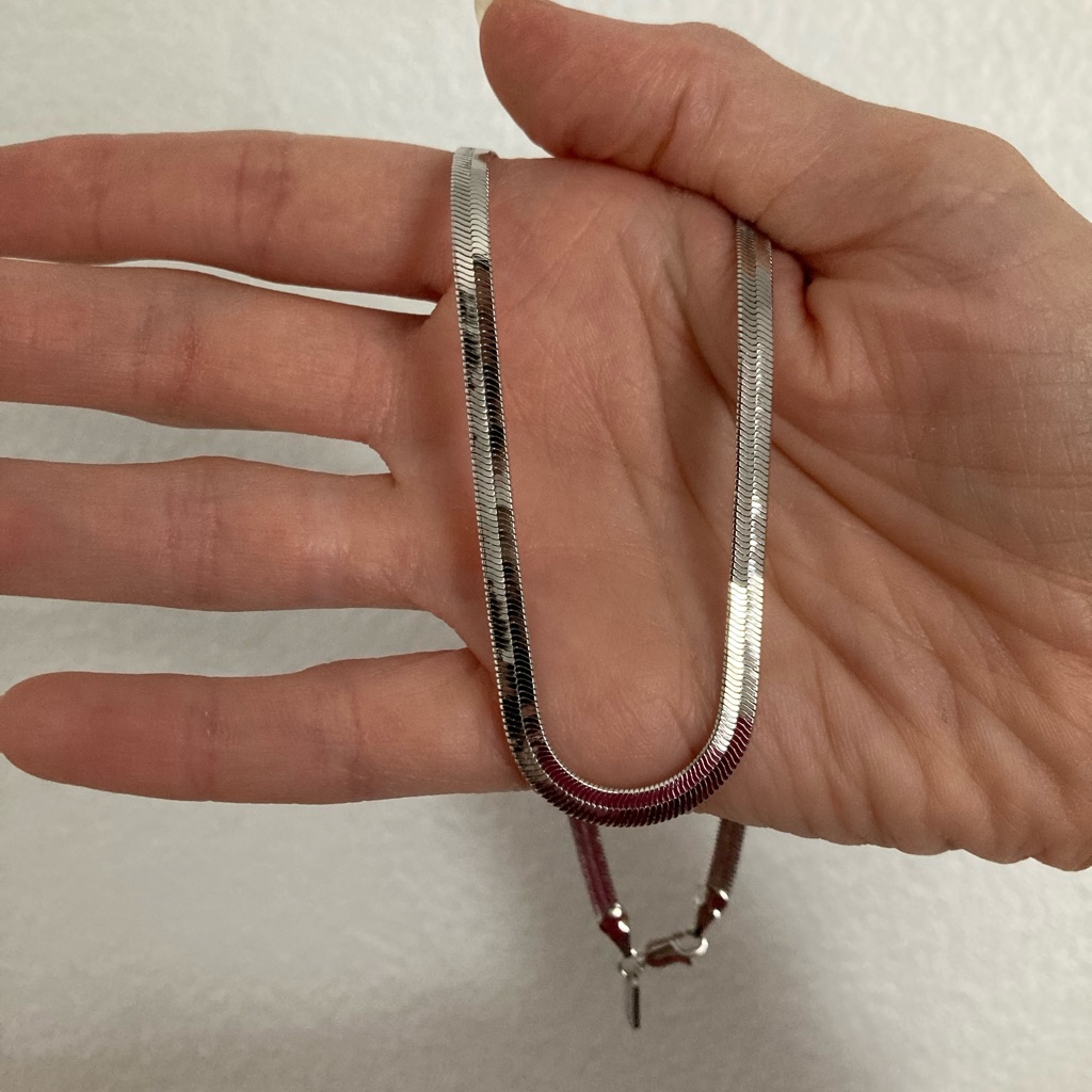 New Vanessa Mooney Silver Nas Chain 36$